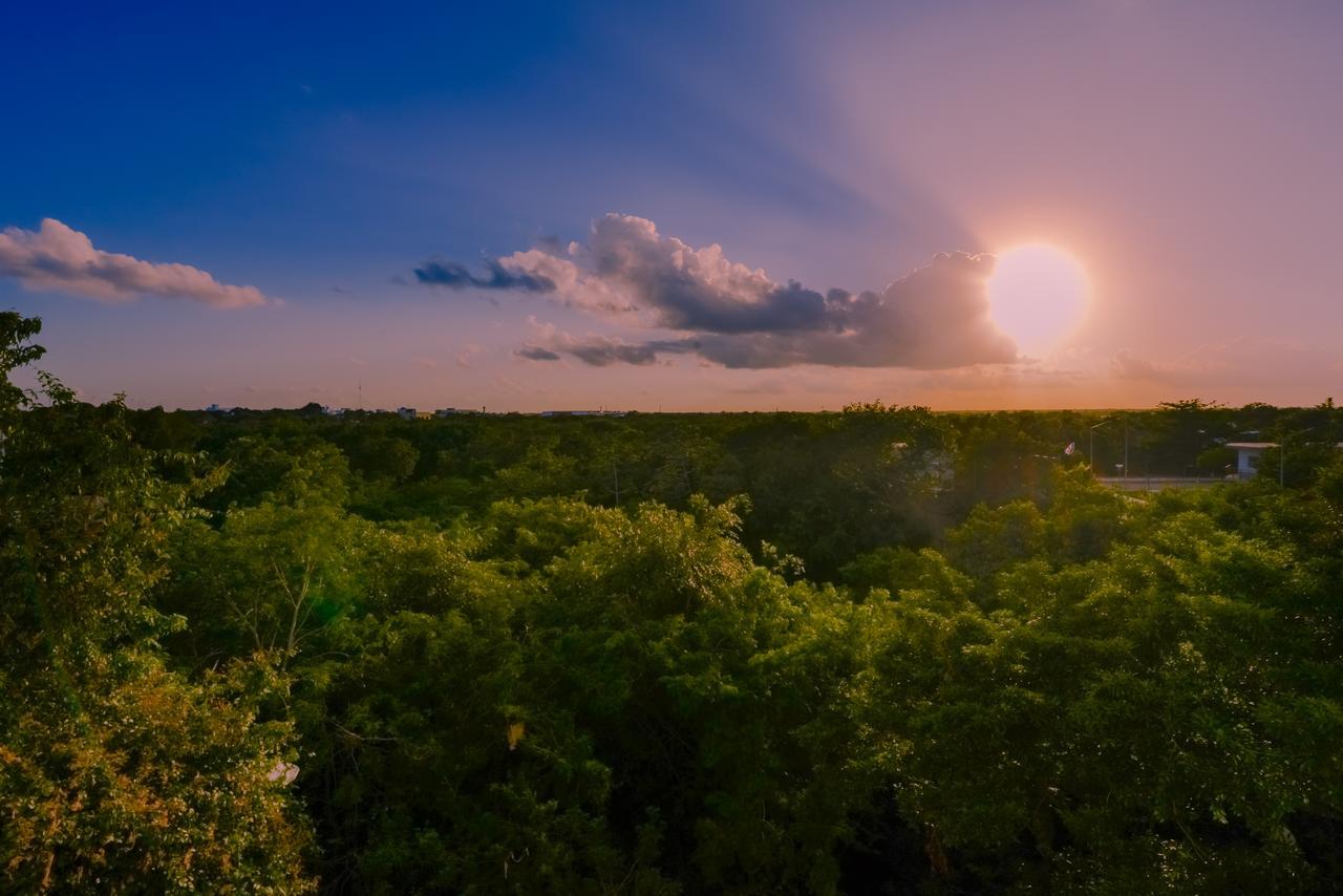 Condo Casa Del Arbol Playa del Carmen Bagian luar foto