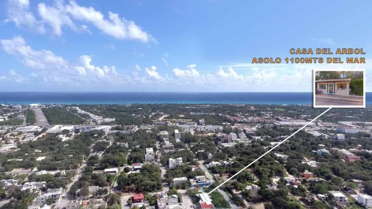 Condo Casa Del Arbol Playa del Carmen Bagian luar foto